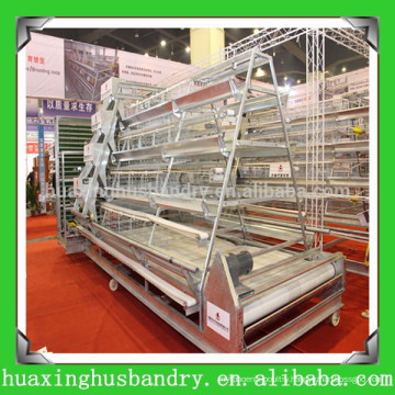 china professional new design bird cage chicken wire mesh